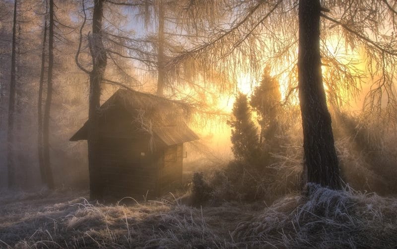 Хижина в лесу - красивые картинки (100 фото) #15