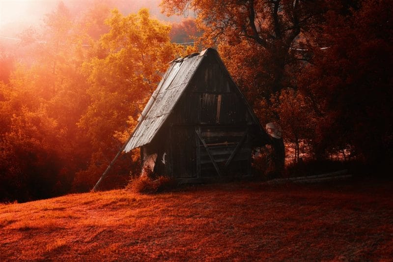 Хижина в лесу - красивые картинки (100 фото) #16