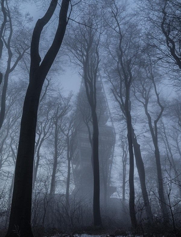 Страшный лес - красивые картинки (100 фото) #42