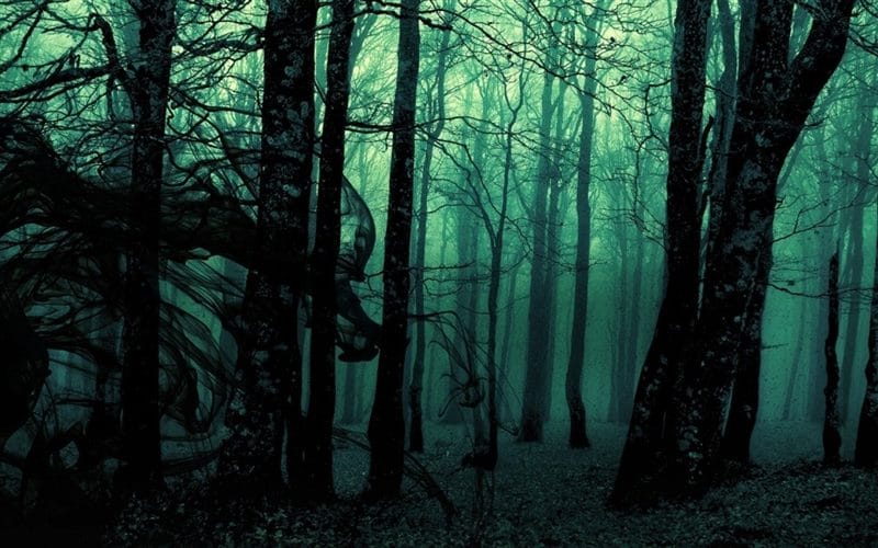 Страшный лес - красивые картинки (100 фото) #12