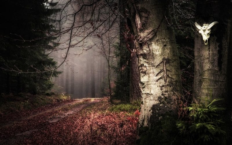 Страшный лес - красивые картинки (100 фото) #65