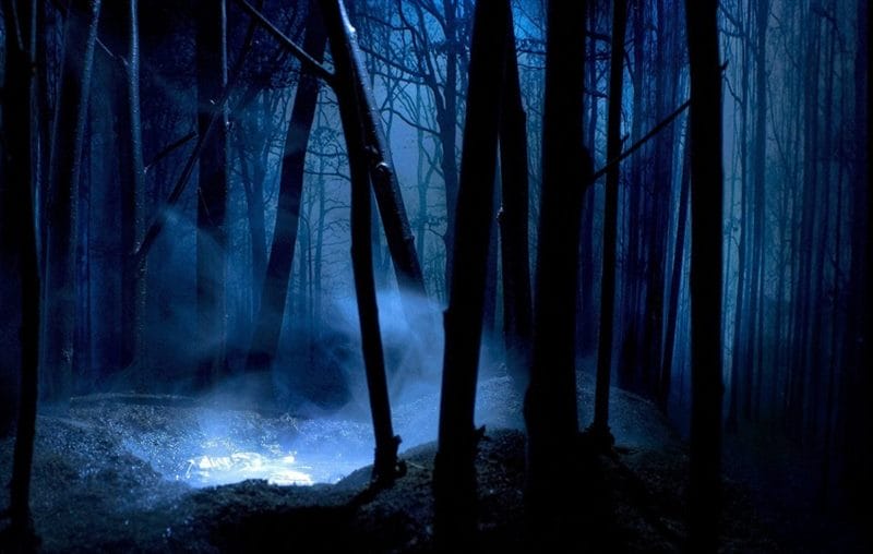 Страшный лес - красивые картинки (100 фото) #51