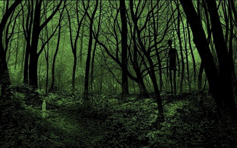 Страшный лес - красивые картинки (100 фото) #31