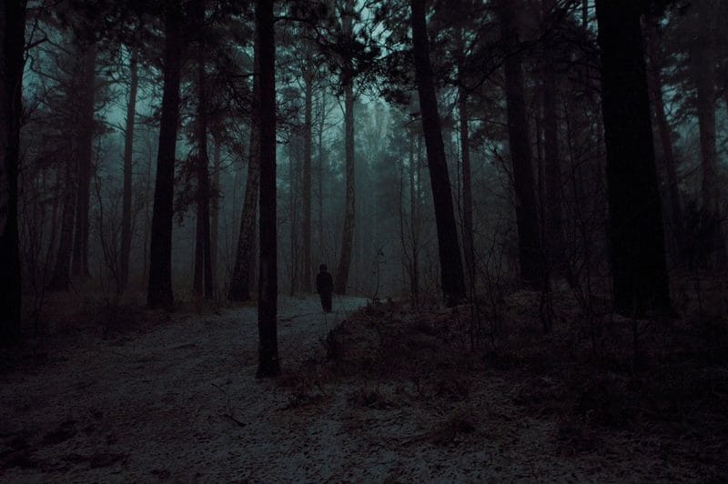 Страшный лес - красивые картинки (100 фото) #62