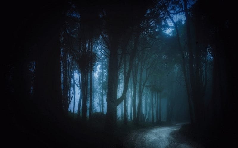 Страшный лес - красивые картинки (100 фото) #64