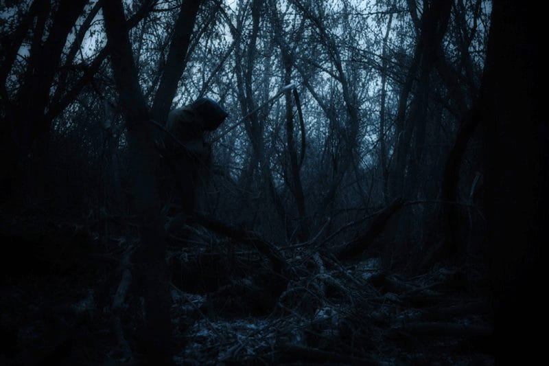 Страшный лес - красивые картинки (100 фото) #61