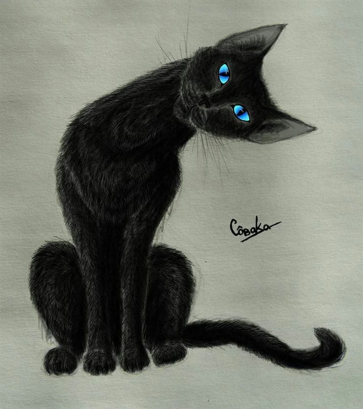 Картинки черной кошки на аву (100 фото) #72