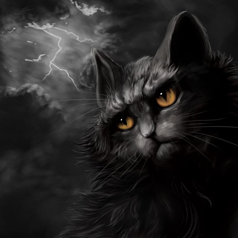 Картинки черной кошки на аву (100 фото) #63
