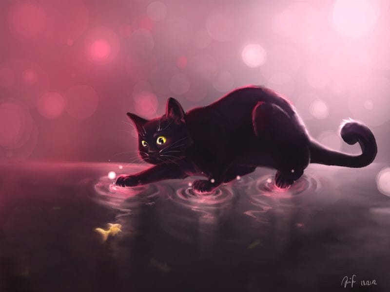 Картинки черной кошки на аву (100 фото) #84