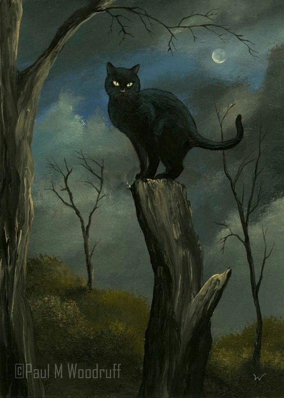 Картинки черной кошки на аву (100 фото) #52