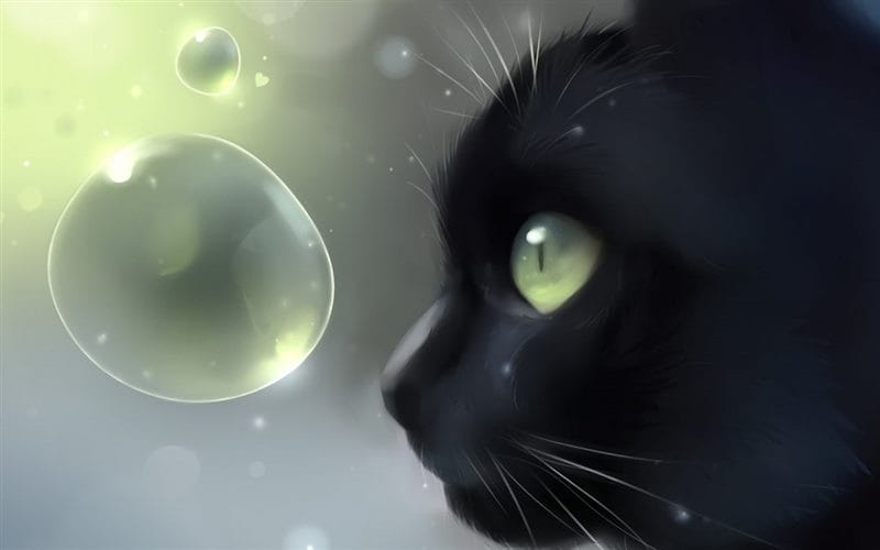 Картинки черной кошки на аву (100 фото) #87