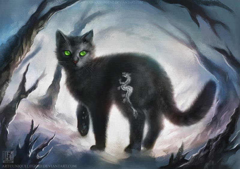 Картинки черной кошки на аву (100 фото) #58