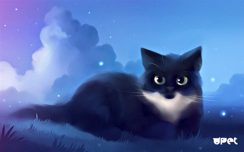 Картинки черной кошки на аву (100 фото) #75