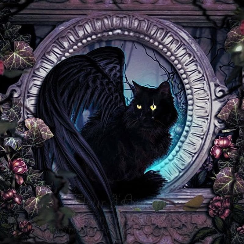 Картинки черной кошки на аву (100 фото) #56
