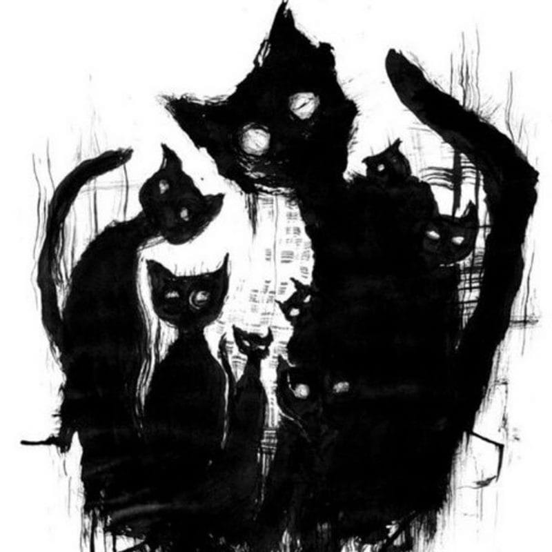 Картинки черной кошки на аву (100 фото) #71