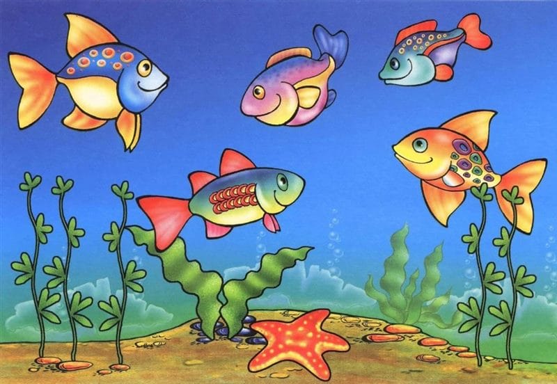 Рыбки в аквариуме - красивые картинки (100 фото) #87
