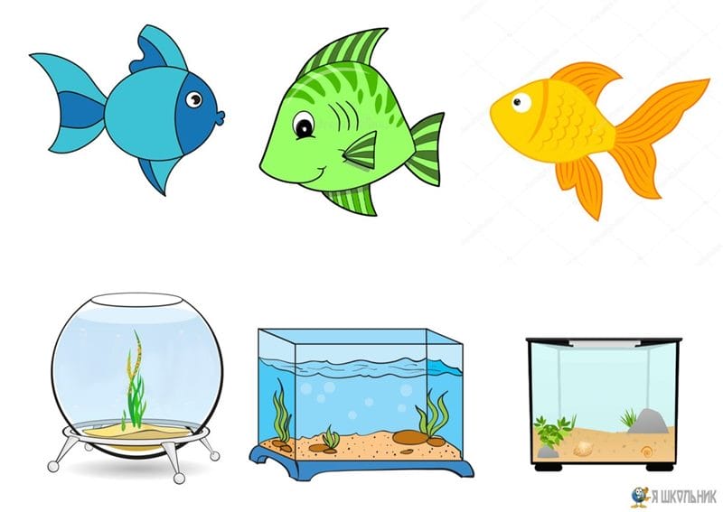 Рыбки в аквариуме - красивые картинки (100 фото) #64