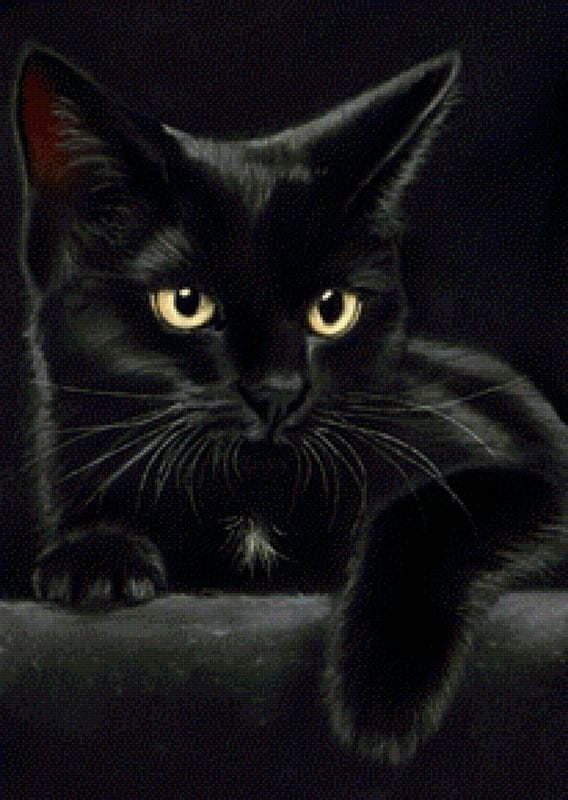Картинки черных кошек (100 фото) #99
