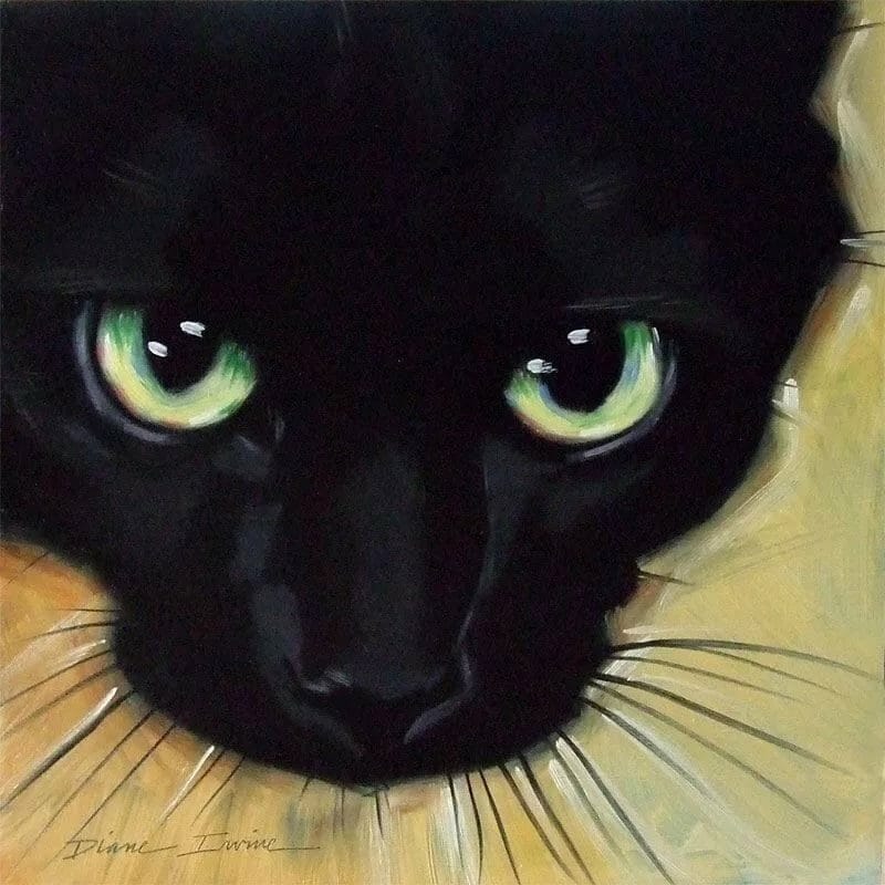 Картинки черных кошек (100 фото) #11