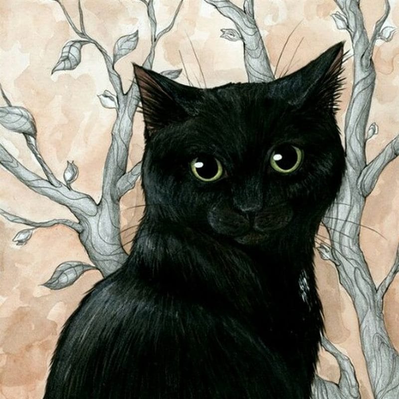 Картинки черных кошек (100 фото) #16