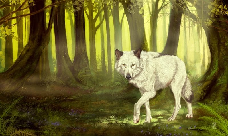 Картинки белых волков (100 фото) #19
