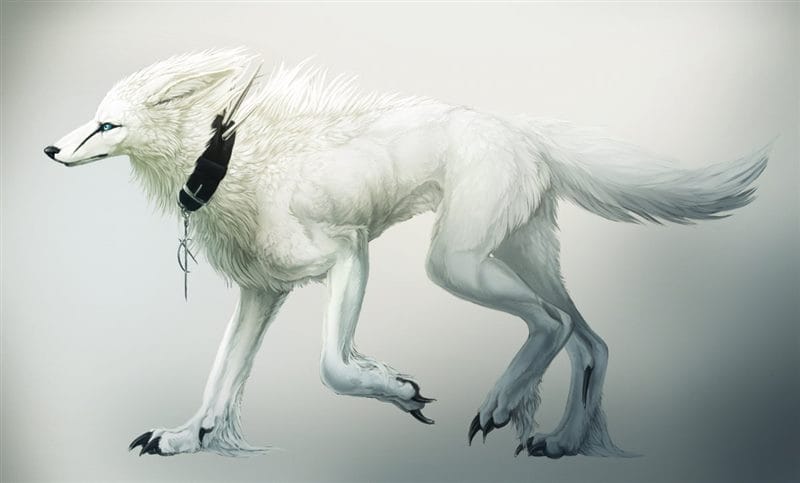 Картинки белых волков (100 фото) #87