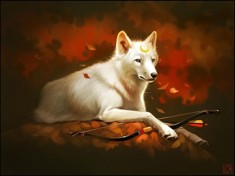Картинки белых волков (100 фото) #98