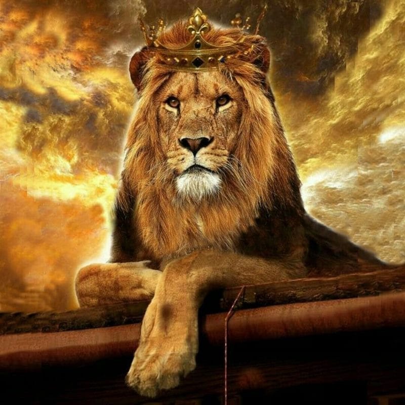 Картинки лев с короной (100 фото) #11