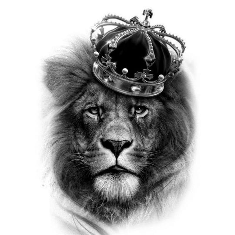 Картинки лев с короной (100 фото) #60