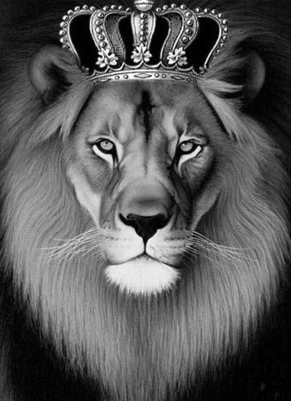Картинки лев с короной (100 фото) #30