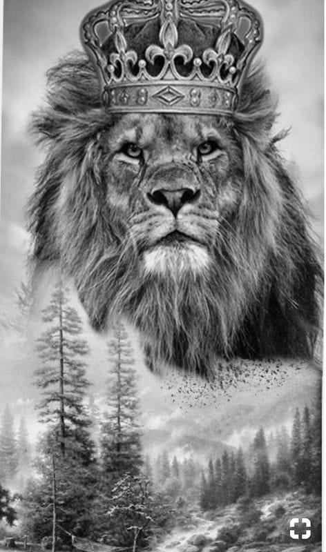 Картинки лев с короной (100 фото) #39
