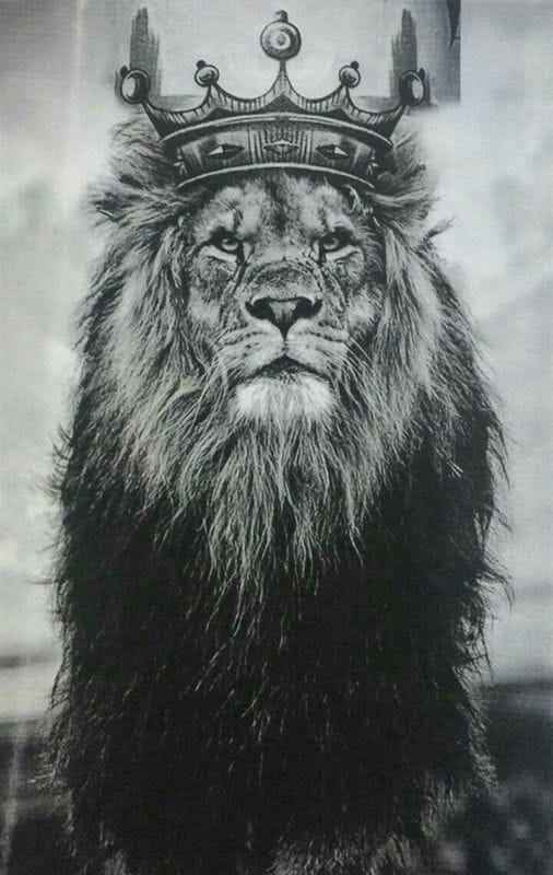 Картинки лев с короной (100 фото) #81
