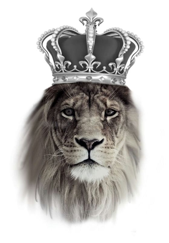 Картинки лев с короной (100 фото) #24
