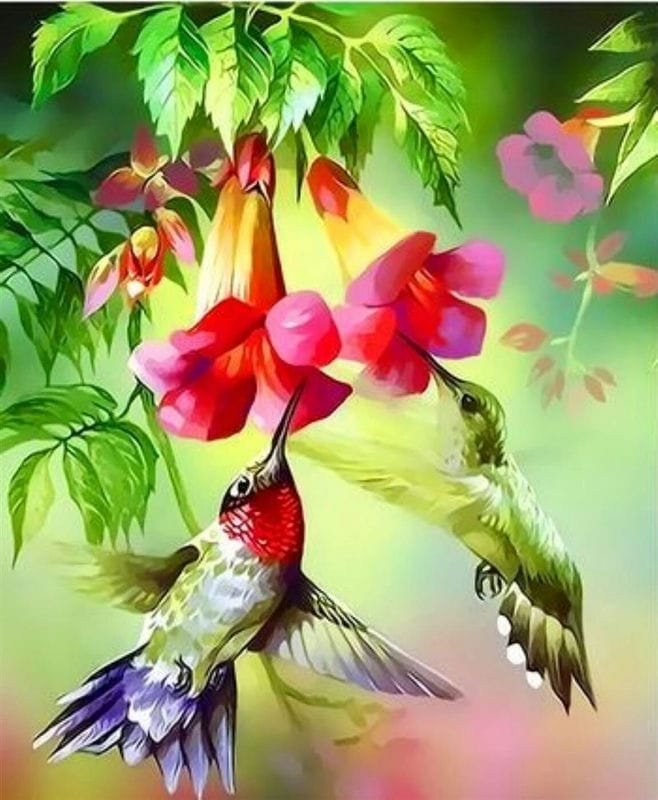 Картинки птицы и цветы (100 фото) #72