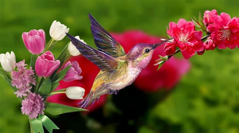 Картинки птицы и цветы (100 фото) #36