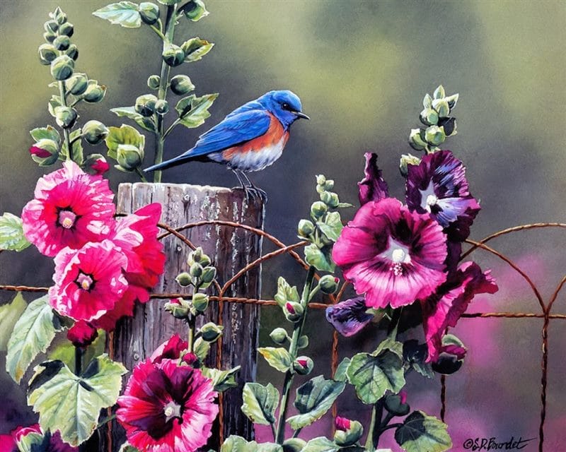 Картинки птицы и цветы (100 фото) #61