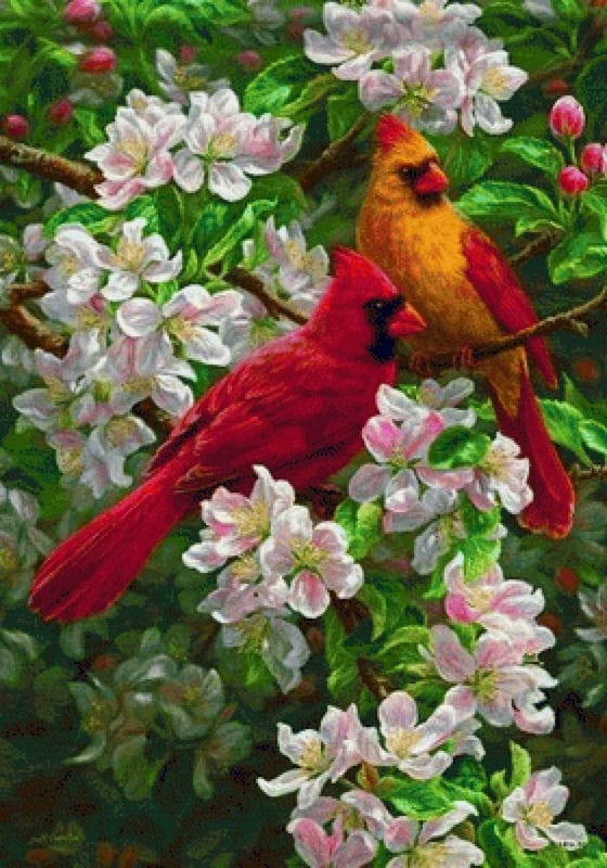Картинки птицы и цветы (100 фото) #64