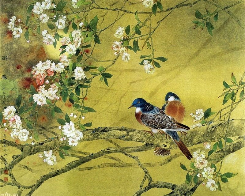 Картинки птицы и цветы (100 фото) #53