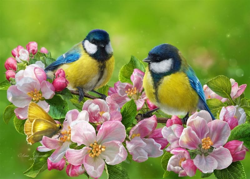 Картинки птицы и цветы (100 фото) #79