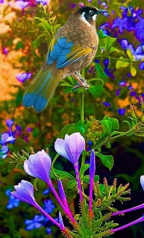 Картинки птицы и цветы (100 фото) #54