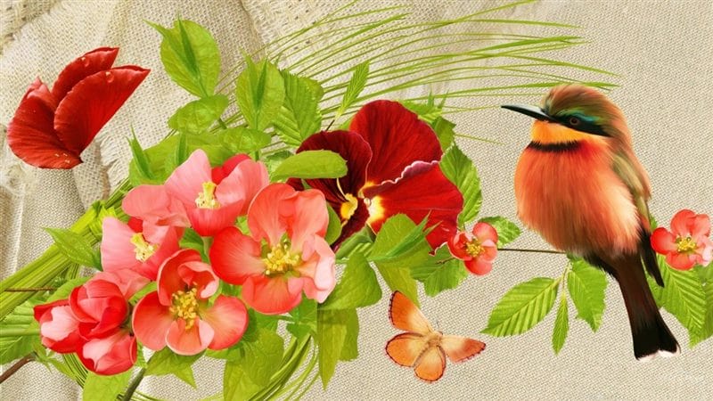 Картинки птицы и цветы (100 фото) #66