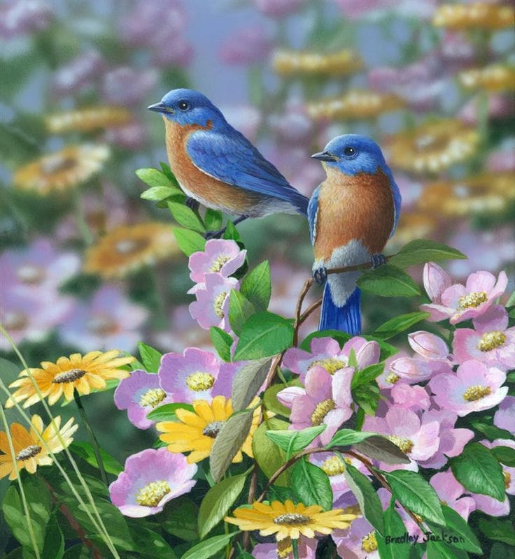 Картинки птицы и цветы (100 фото) #75