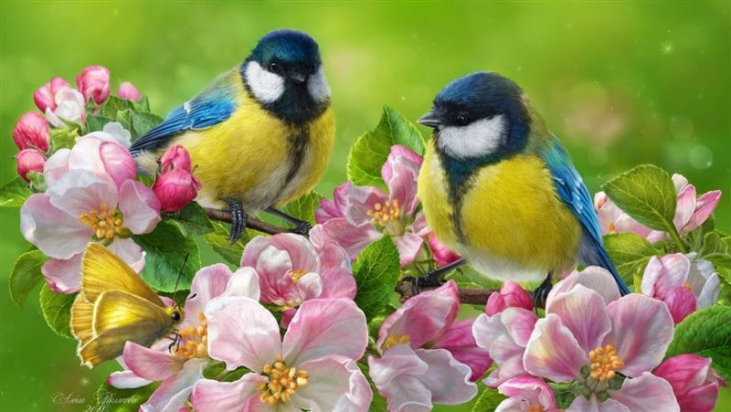 Картинки птицы и цветы (100 фото) #94