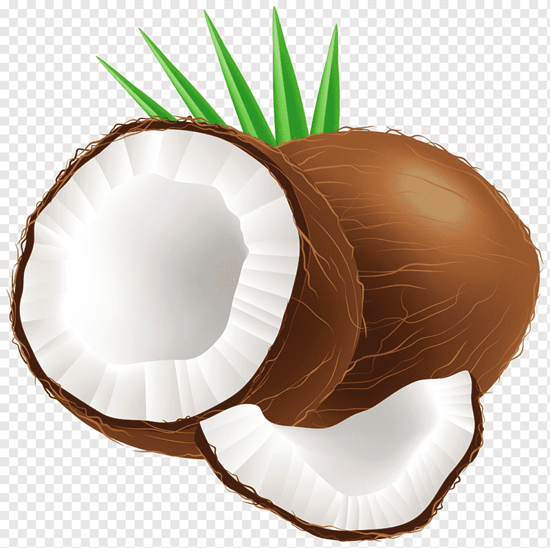 Картинки кокосы (100 фото) #6
