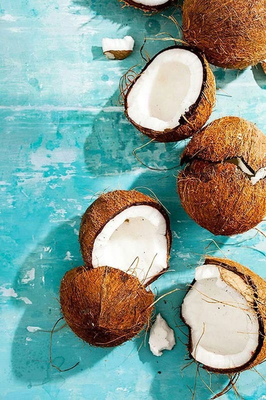 Картинки кокосы (100 фото) #11