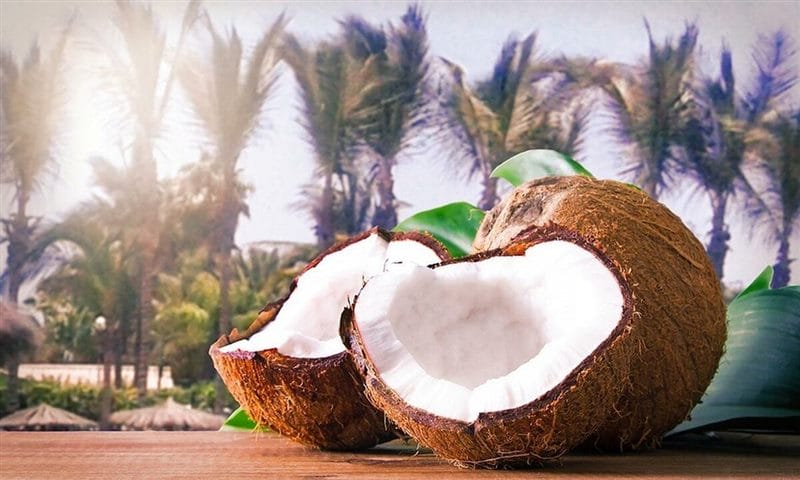 Картинки кокосы (100 фото) #43