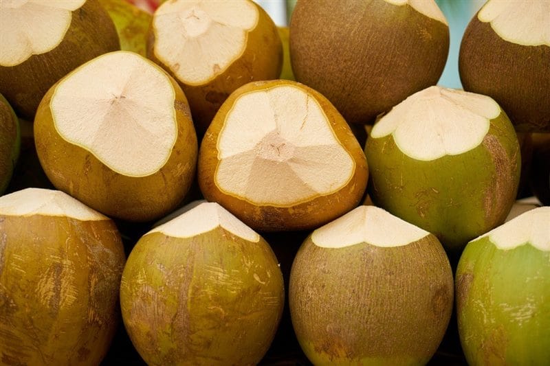Картинки кокосы (100 фото) #10