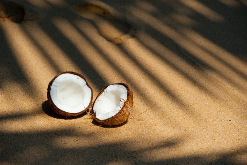 Картинки кокосы (100 фото) #30