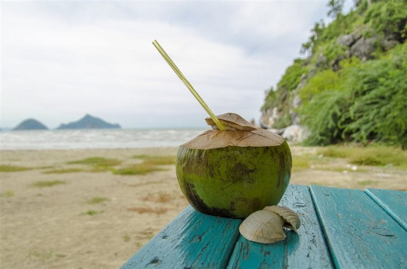 Картинки кокосы (100 фото) #67