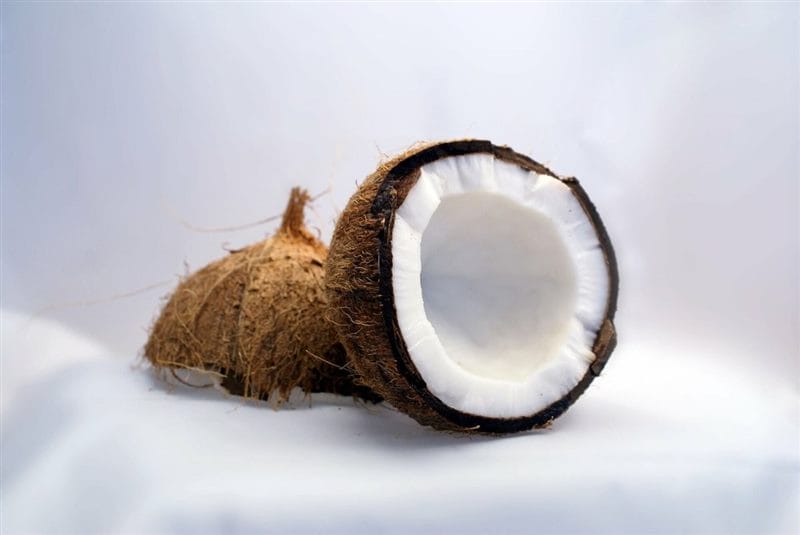 Картинки кокосы (100 фото) #83